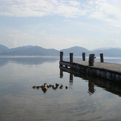 Torre del Lago